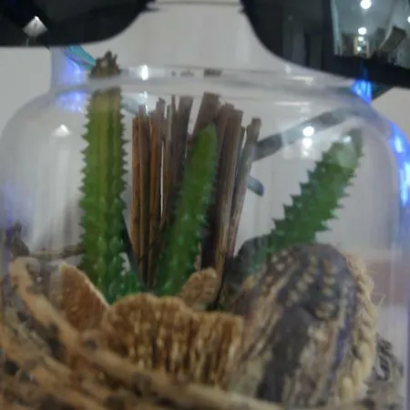 Lägenhet Casa Joca Duquesa Torremolinos