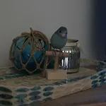 Casa Joca Duquesa 토레몰리노스